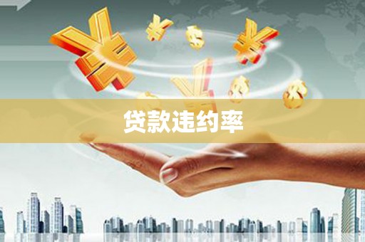 法库贷款违约率