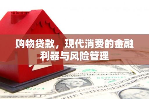 法库购物贷款，现代消费的金融利器与风险管理