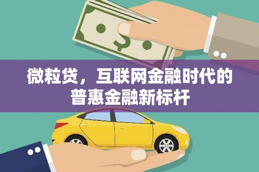 法库微粒贷，互联网金融时代的普惠金融新标杆