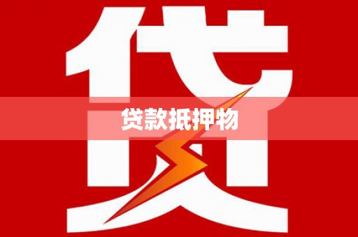 法库贷款抵押物