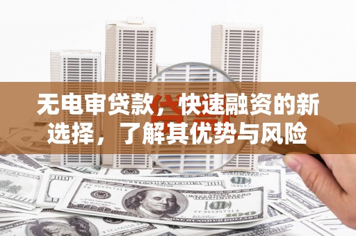 法库无电审贷款，快速融资的新选择，了解其优势与风险