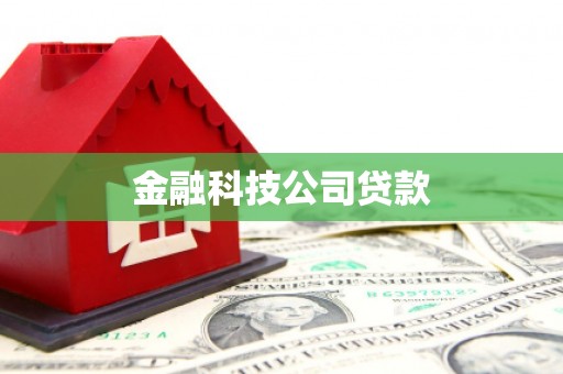 法库金融科技公司贷款