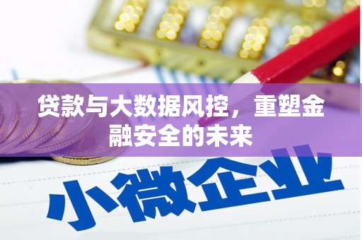 法库贷款与大数据风控，重塑金融安全的未来