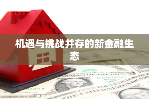 法库机遇与挑战并存的新金融生态