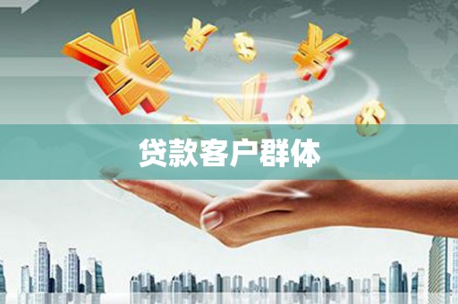 法库贷款客户群体