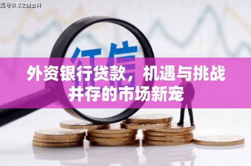 法库外资银行贷款，机遇与挑战并存的市场新宠