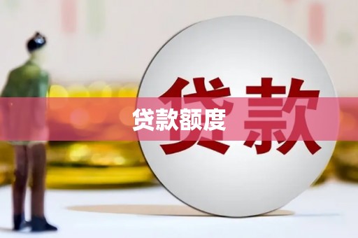 法库贷款额度