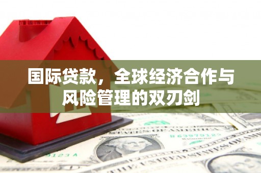 法库国际贷款，全球经济合作与风险管理的双刃剑