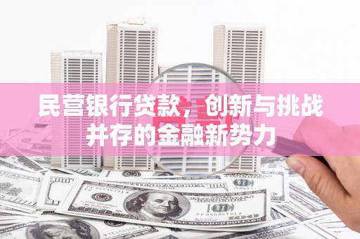 法库民营银行贷款，创新与挑战并存的金融新势力