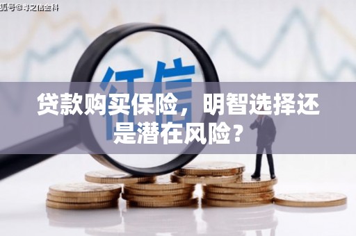 法库贷款购买保险，明智选择还是潜在风险？