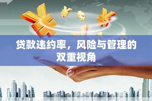 法库贷款违约率，风险与管理的双重视角