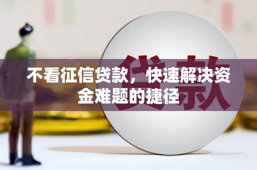 法库不看征信贷款，快速解决资金难题的捷径