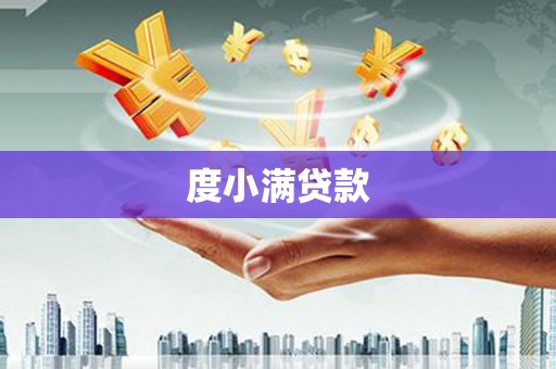法库度小满贷款