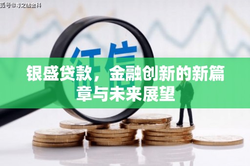 法库银盛贷款，金融创新的新篇章与未来展望