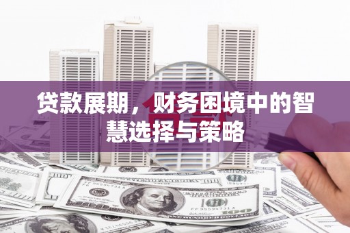 法库贷款展期，财务困境中的智慧选择与策略