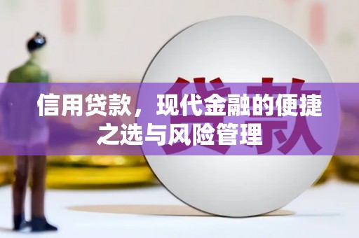 法库信用贷款，现代金融的便捷之选与风险管理