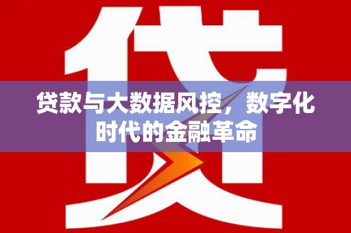 法库贷款与大数据风控，数字化时代的金融革命