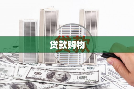 法库贷款购物