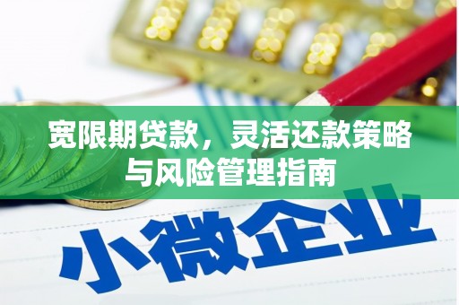 法库宽限期贷款，灵活还款策略与风险管理指南