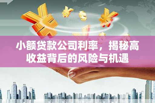 法库小额贷款公司利率，揭秘高收益背后的风险与机遇