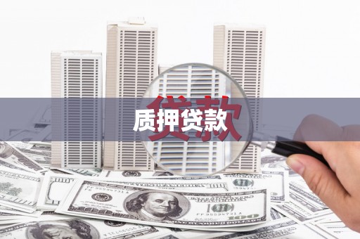 法库质押贷款