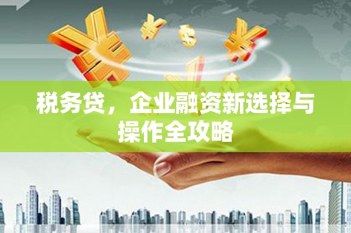 法库税务贷，企业融资新选择与操作全攻略