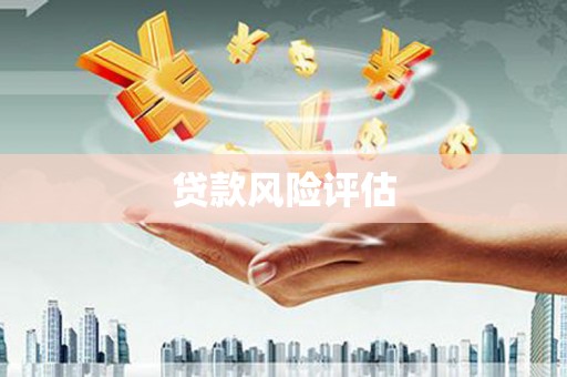 法库贷款风险评估