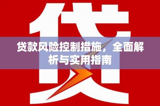 法库贷款风险控制措施，全面解析与实用指南