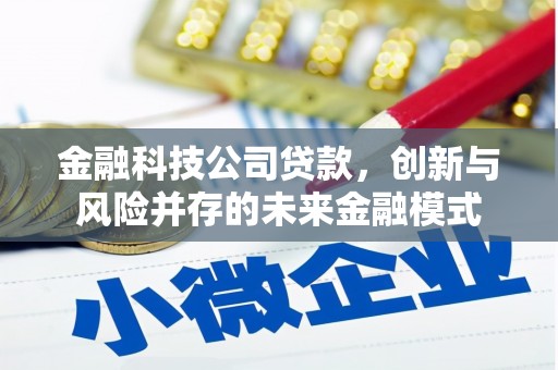 法库金融科技公司贷款，创新与风险并存的未来金融模式