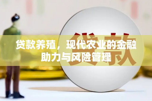 法库贷款养殖，现代农业的金融助力与风险管理
