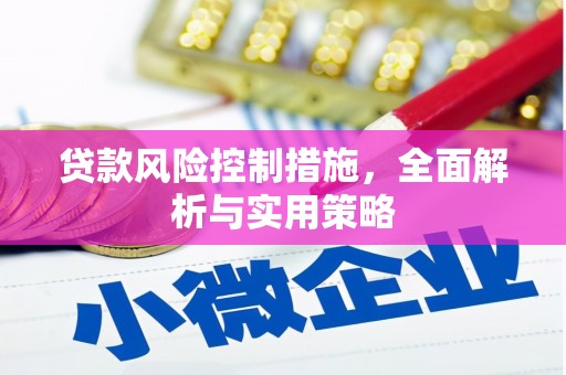 法库贷款风险控制措施，全面解析与实用策略