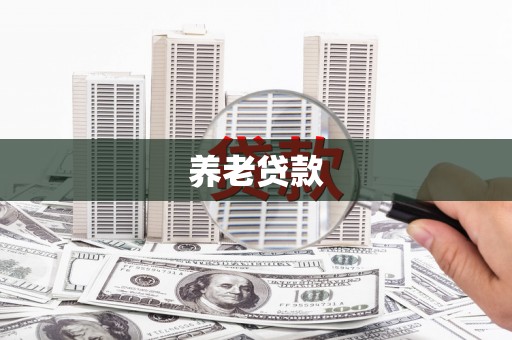 法库养老贷款