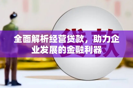 法库全面解析经营贷款，助力企业发展的金融利器