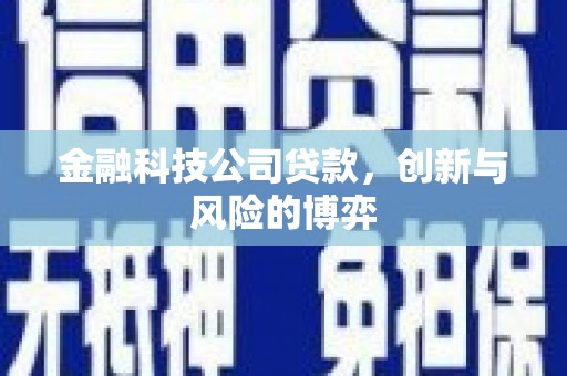 法库金融科技公司贷款，创新与风险的博弈
