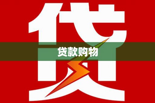 法库贷款购物