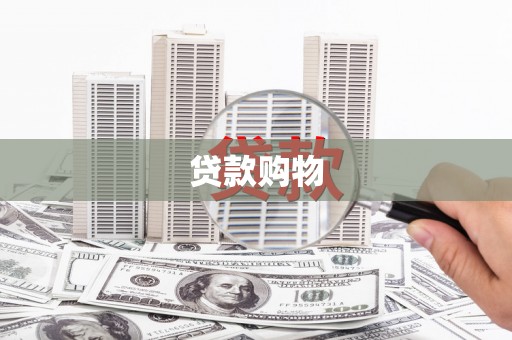 法库贷款购物