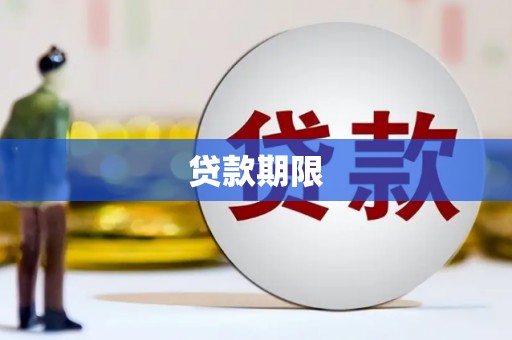法库贷款期限