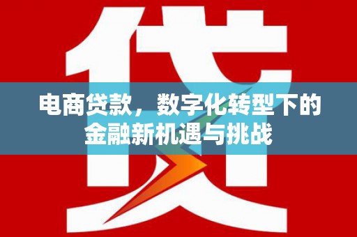 法库电商贷款，数字化转型下的金融新机遇与挑战