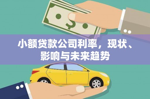 法库小额贷款公司利率，现状、影响与未来趋势