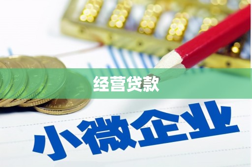 法库经营贷款