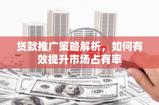 法库贷款推广策略解析，如何有效提升市场占有率