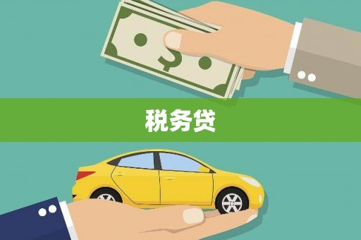 法库税务贷