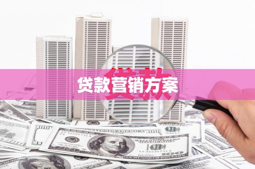 法库贷款营销方案