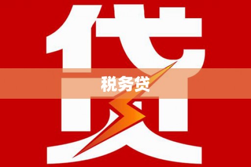 法库税务贷
