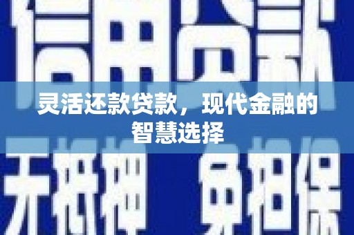 法库灵活还款贷款，现代金融的智慧选择