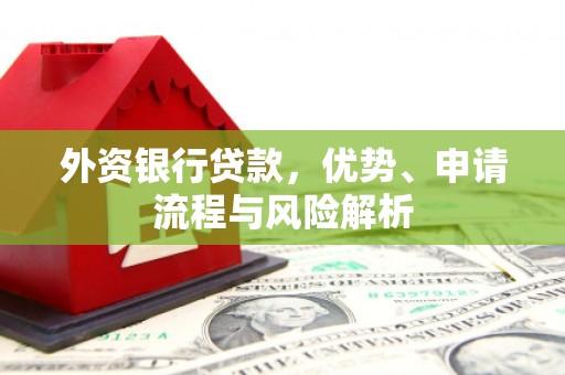 法库外资银行贷款，优势、申请流程与风险解析