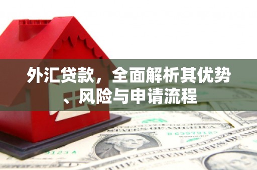 法库外汇贷款，全面解析其优势、风险与申请流程