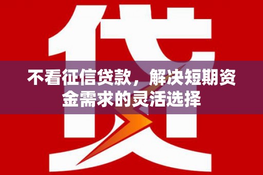法库不看征信贷款，解决短期资金需求的灵活选择