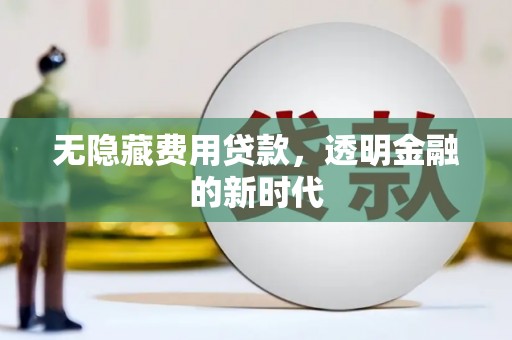 法库无隐藏费用贷款，透明金融的新时代