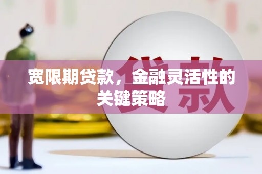 法库宽限期贷款，金融灵活性的关键策略